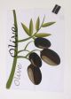 Geschirrtuch Olive - bedruckt
